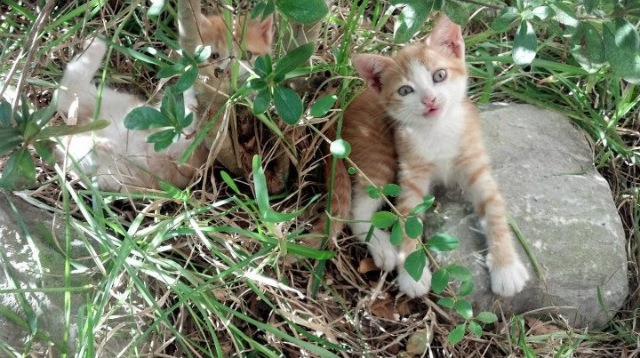 乐鱼体育网址入口-朱婷比赛结束后主动与对手拥抱致意，朱婷等人